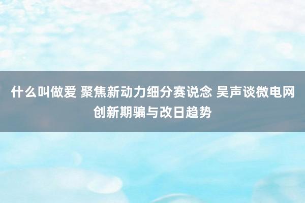 什么叫做爱 聚焦新动力细分赛说念 吴声谈微电网创新期骗与改日趋势