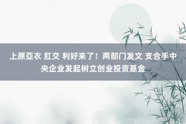 上原亞衣 肛交 利好来了！两部门发文 支合手中央企业发起树立创业投资基金