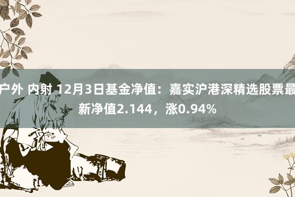 户外 内射 12月3日基金净值：嘉实沪港深精选股票最新净值2.144，涨0.94%