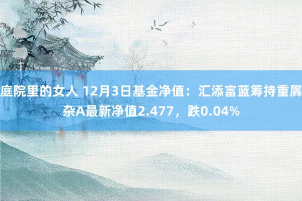 庭院里的女人 12月3日基金净值：汇添富蓝筹持重羼杂A最新净值2.477，跌0.04%