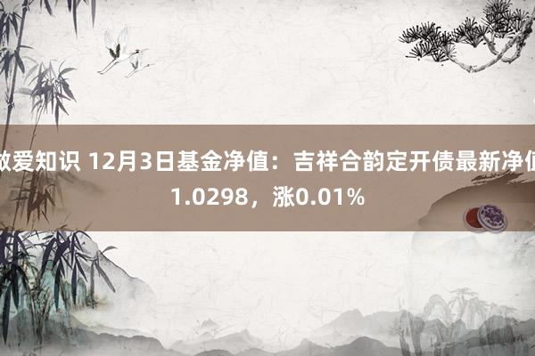 做爱知识 12月3日基金净值：吉祥合韵定开债最新净值1.0298，涨0.01%