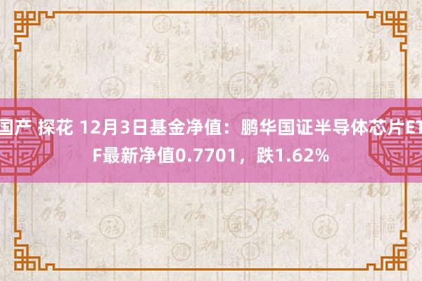 国产 探花 12月3日基金净值：鹏华国证半导体芯片ETF最新净值0.7701，跌1.62%