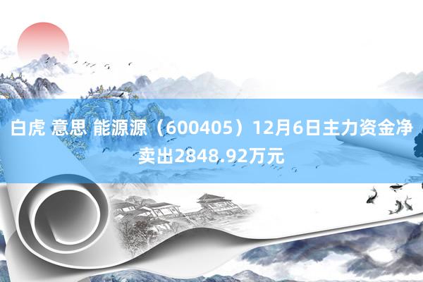 白虎 意思 能源源（600405）12月6日主力资金净卖出2848.92万元