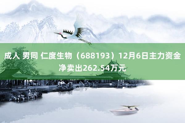 成人 男同 仁度生物（688193）12月6日主力资金净卖出262.54万元