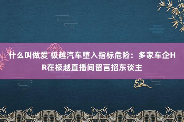 什么叫做爱 极越汽车堕入指标危险：多家车企HR在极越直播间留言招东谈主