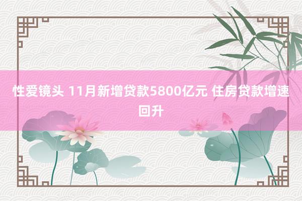 性爱镜头 11月新增贷款5800亿元 住房贷款增速回升