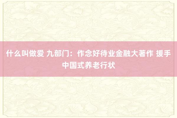 什么叫做爱 九部门：作念好待业金融大著作 援手中国式养老行状