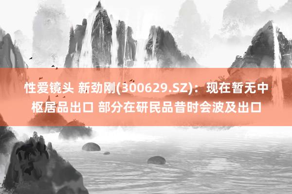 性爱镜头 新劲刚(300629.SZ)：现在暂无中枢居品出口 部分在研民品昔时会波及出口