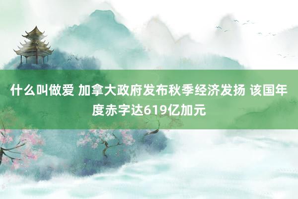 什么叫做爱 加拿大政府发布秋季经济发扬 该国年度赤字达619亿加元