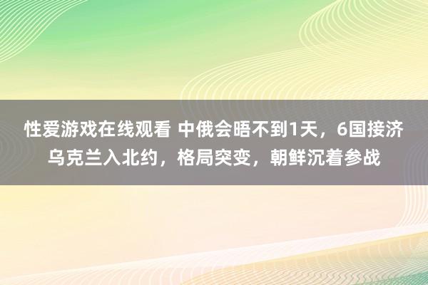 性爱游戏在线观看 中俄会晤不到1天，6国接济乌克兰入北约，格局突变，朝鲜沉着参战