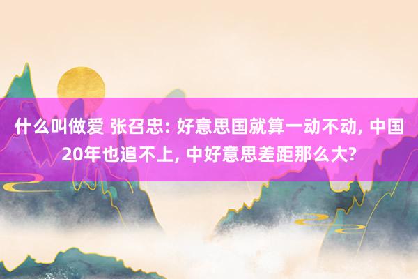 什么叫做爱 张召忠: 好意思国就算一动不动， 中国20年也追不上， 中好意思差距那么大?