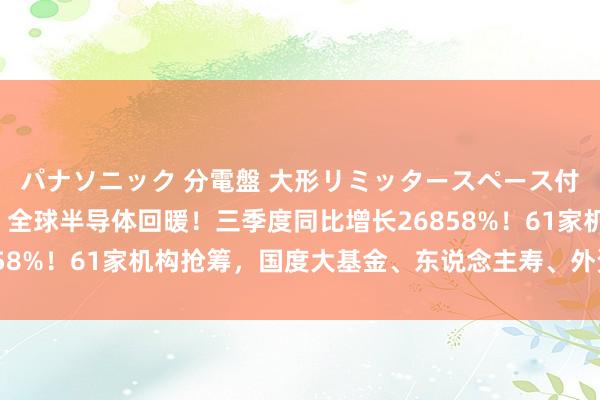 パナソニック 分電盤 大形リミッタースペース付 露出・半埋込両用形 全球半导体回暖！三季度同比增长26858%！61家机构抢筹，国度大基金、东说念主寿、外资也在其中！