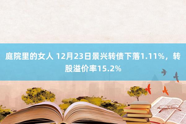 庭院里的女人 12月23日景兴转债下落1.11%，转股溢价率15.2%