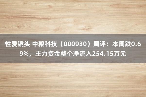 性爱镜头 中粮科技（000930）周评：本周跌0.69%，主力资金整个净流入254.15万元