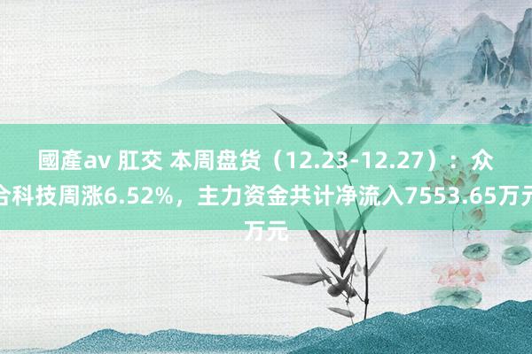 國產av 肛交 本周盘货（12.23-12.27）：众合科技周涨6.52%，主力资金共计净流入7553.65万元