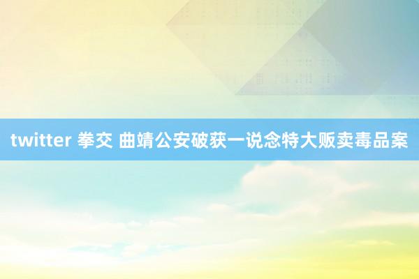 twitter 拳交 曲靖公安破获一说念特大贩卖毒品案