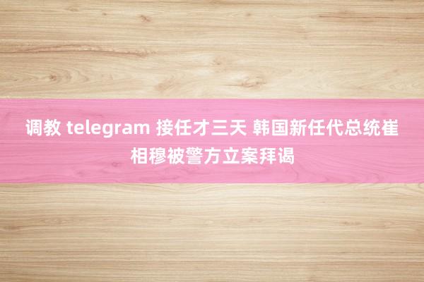 调教 telegram 接任才三天 韩国新任代总统崔相穆被警方立案拜谒