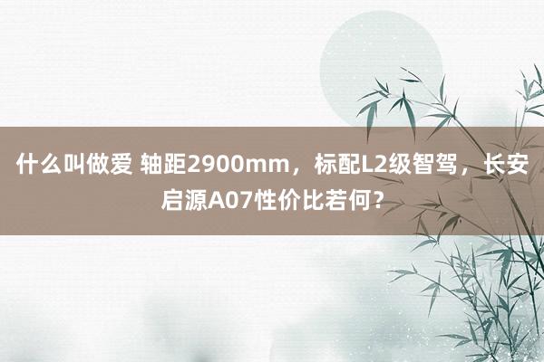 什么叫做爱 轴距2900mm，标配L2级智驾，长安启源A07性价比若何？