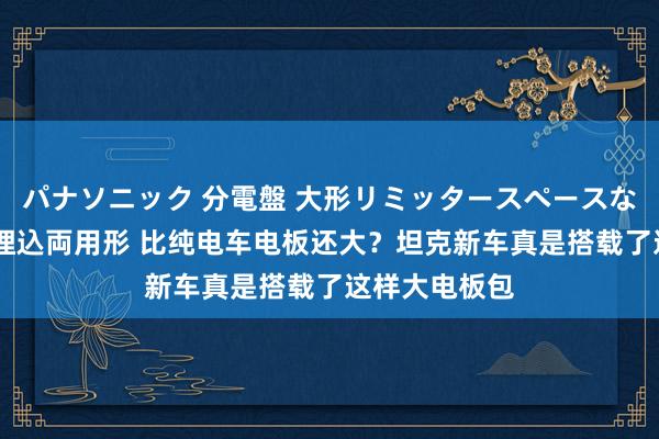 パナソニック 分電盤 大形リミッタースペースなし 露出・半埋込両用形 比纯电车电板还大？坦克新车真是搭载了这样大电板包