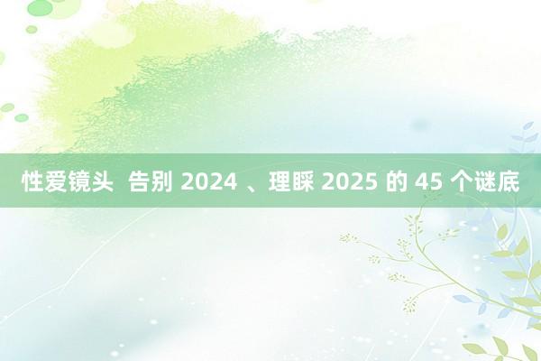 性爱镜头  告别 2024 、理睬 2025 的 45 个谜底