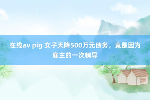 在线av pig 女子天降500万元债务，竟是因为雇主的一次辅导