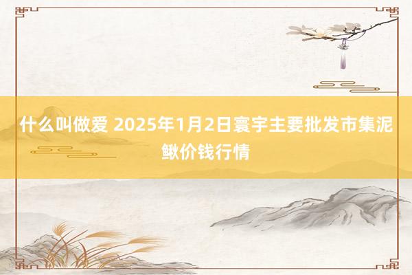 什么叫做爱 2025年1月2日寰宇主要批发市集泥鳅价钱行情