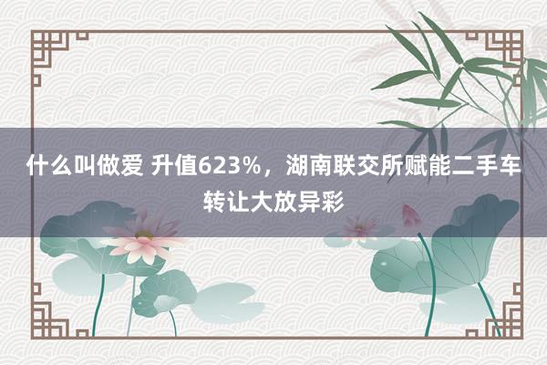 什么叫做爱 升值623%，湖南联交所赋能二手车转让大放异彩