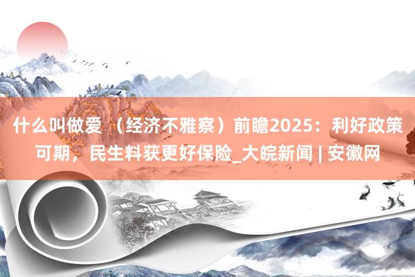 什么叫做爱 （经济不雅察）前瞻2025：利好政策可期，民生料获更好保险_大皖新闻 | 安徽网