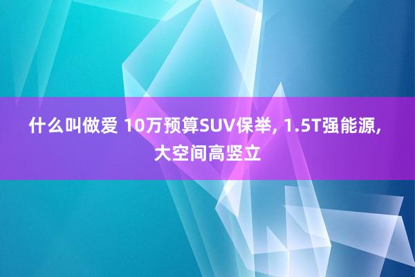 什么叫做爱 10万预算SUV保举， 1.5T强能源， 大空间高竖立