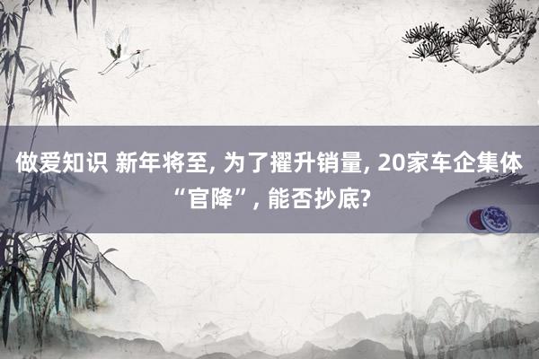 做爱知识 新年将至， 为了擢升销量， 20家车企集体“官降”， 能否抄底?