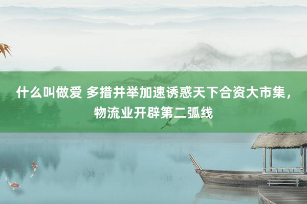 什么叫做爱 多措并举加速诱惑天下合资大市集，物流业开辟第二弧线