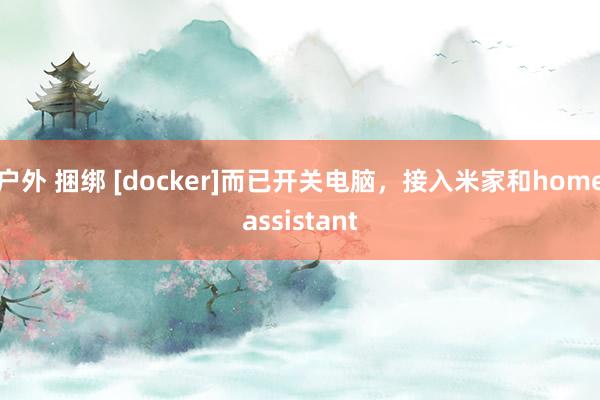 户外 捆绑 [docker]而已开关电脑，接入米家和homeassistant