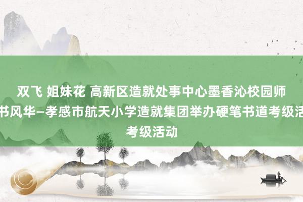 双飞 姐妹花 高新区造就处事中心墨香沁校园师生书风华—孝感市航天小学造就集团举办硬笔书道考级活动