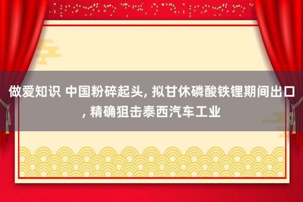 做爱知识 中国粉碎起头， 拟甘休磷酸铁锂期间出口， 精确狙击泰西汽车工业