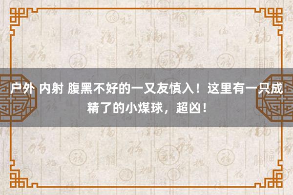 户外 内射 腹黑不好的一又友慎入！这里有一只成精了的小煤球，超凶！