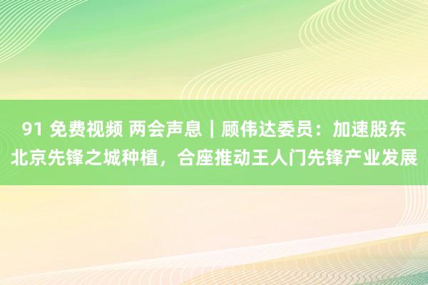 91 免费视频 两会声息｜顾伟达委员：加速股东北京先锋之城种植，合座推动王人门先锋产业发展