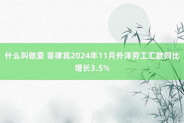 什么叫做爱 菲律宾2024年11月外洋劳工汇款同比增长3.5%