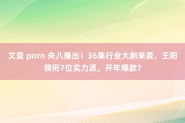 文爱 porn 央八播出！36集行业大剧来袭，王阳领衔7位实力派，开年爆款？