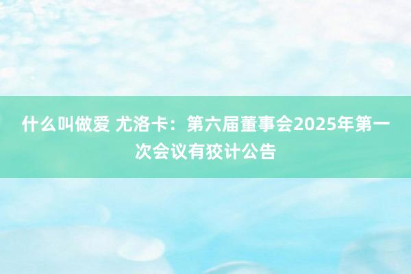 什么叫做爱 尤洛卡：第六届董事会2025年第一次会议有狡计公告